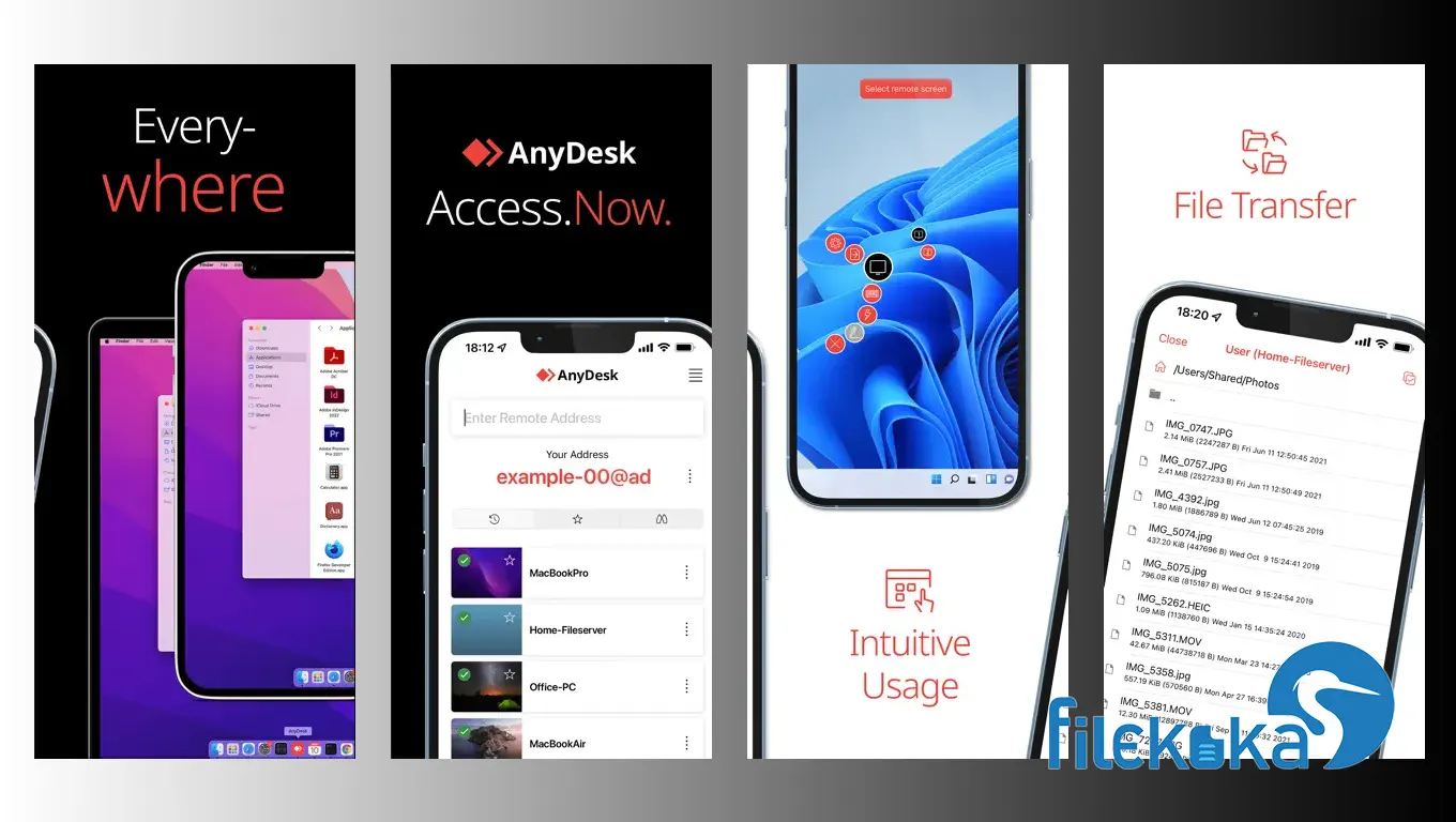 AnyDesk